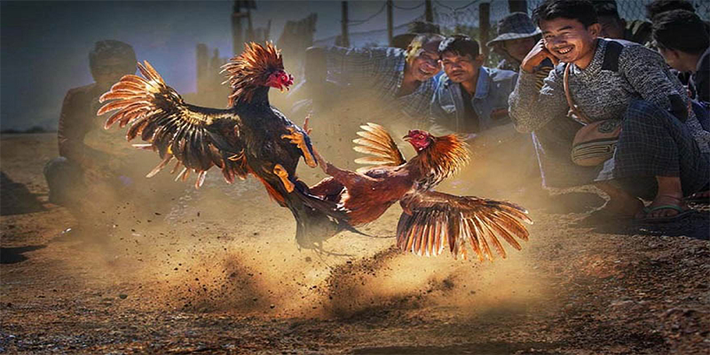vn888 máy tính online casino