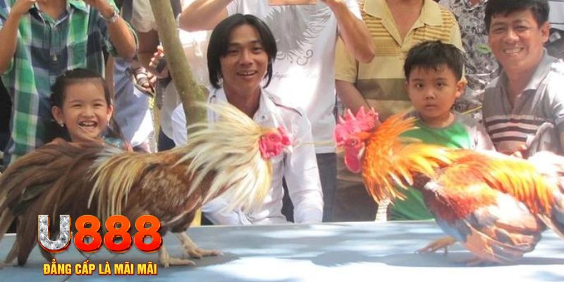 vn888 mơ thấy nổ hũ đánh con gì